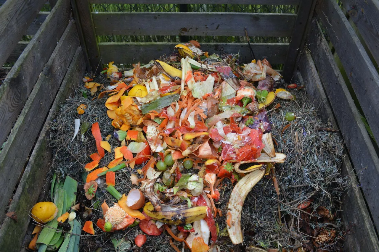 &lt;p&gt;Jak przygotować kompost bez przykrego zapachu?&lt;/p&gt;