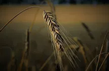 221830