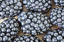 Extreme close up picture of blackberries, shallow depth of field.