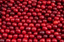 Cherry, beautiful background. Ripe fresh cherries on the market.