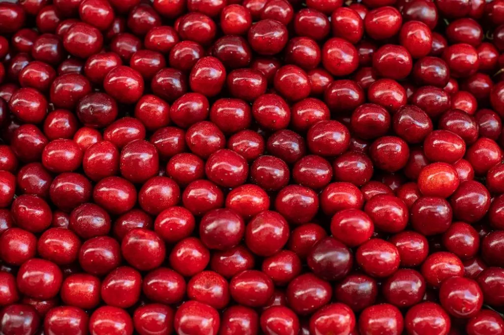 Cherry, beautiful background. Ripe fresh cherries on the market.