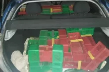 191995