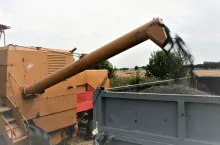 439919