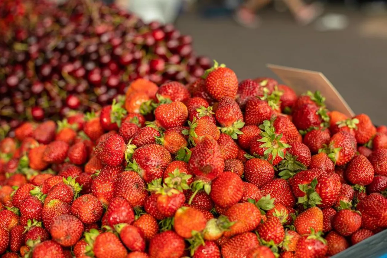 Close-up of heap of many fresh and organic tasty strawberries for sale at the farmers market in the summer. Summer harvest of strawberries.