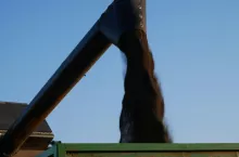 904812