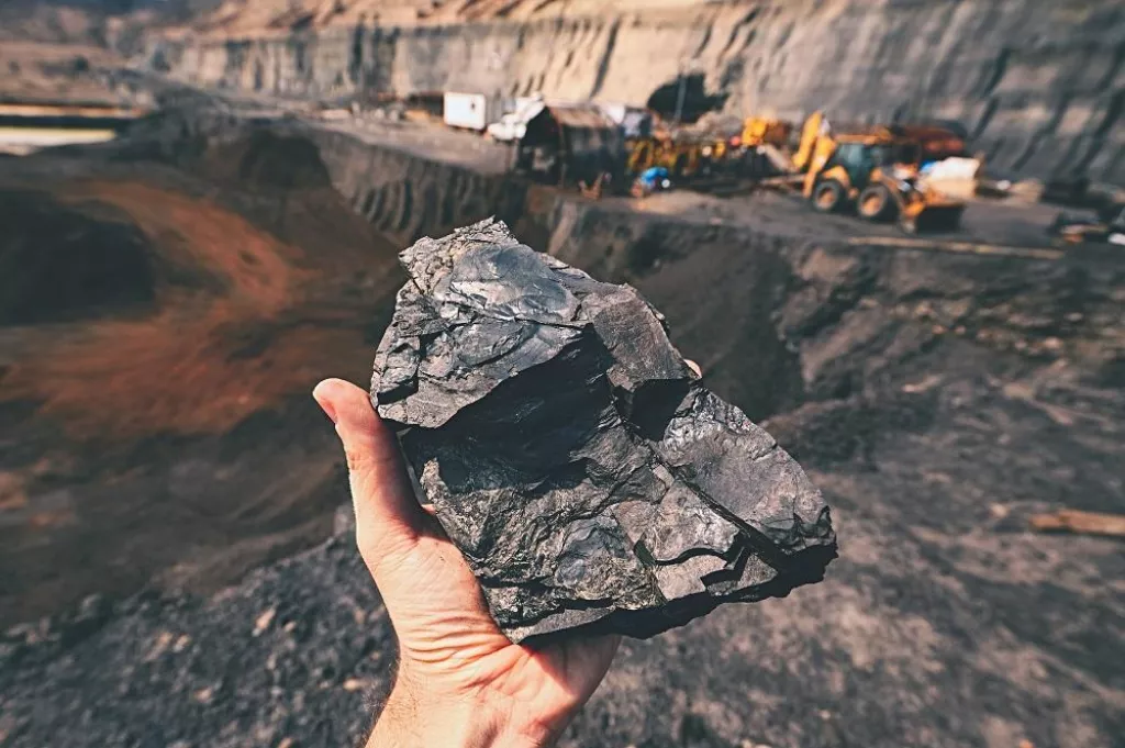 Coal on the palm - Czech Republic