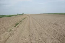 uprawa bezpłużna redlinowa