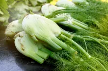 Crop of healthy freshly harvested fennel at a farmers market displayed outdoors on a table in close up