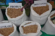 dopłaty do materialu siewnego