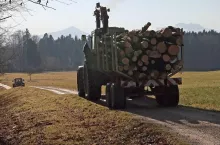 439756