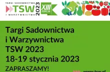 707781