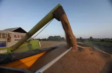 439443