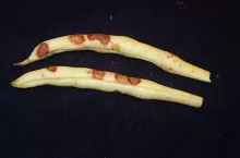 707710