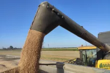 905003