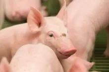 220450
