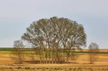 Fallow crop fields in spanish countryside. Agriculture and harvesting