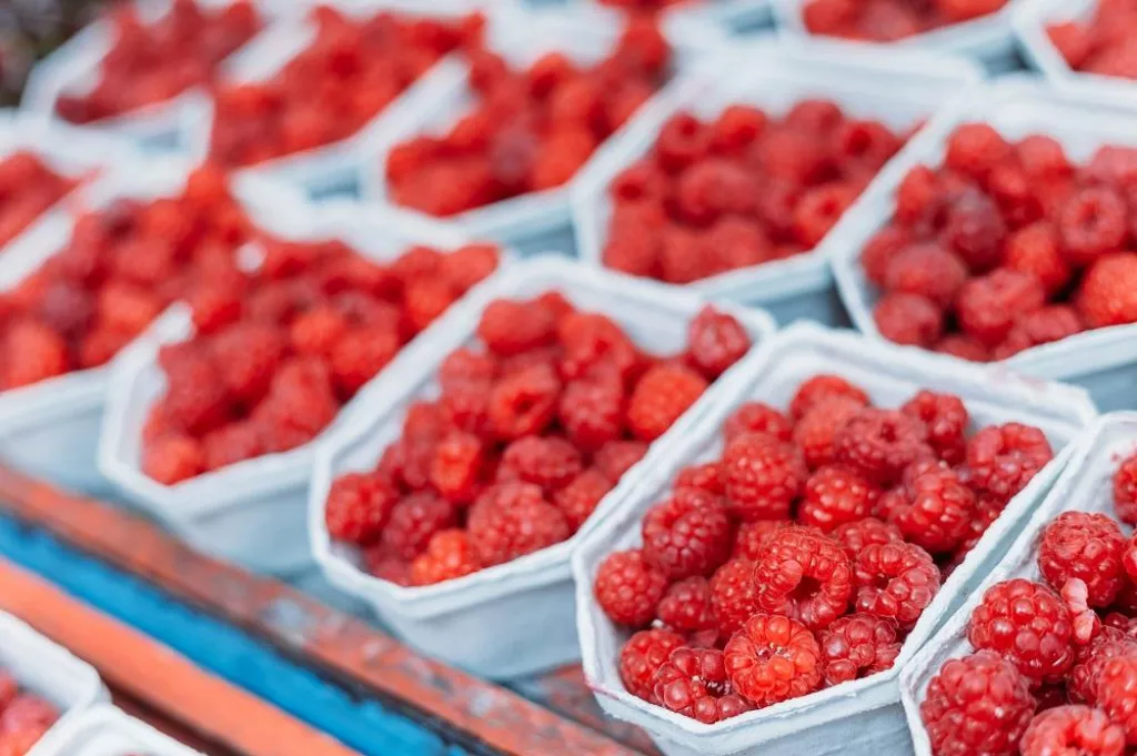 Fresh Yummy Organic Red Berries Raspberries At Market In Trays, Containers.