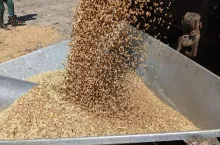 897226