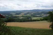 917783