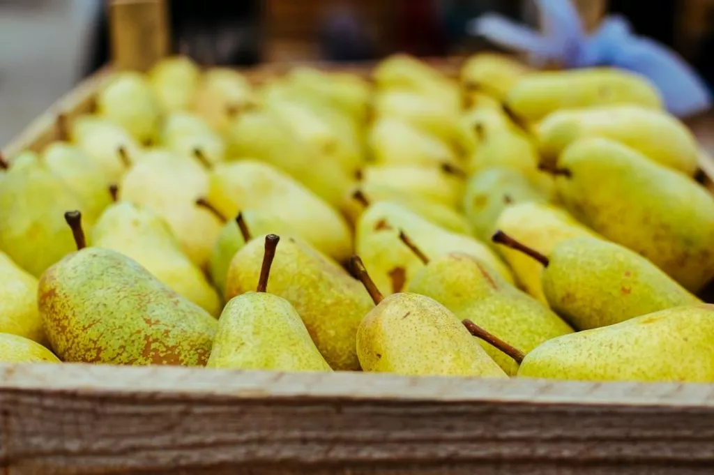 Fresh organic pears background. Ripe yellow large pears in wooden box at farmers market. Pears harvest. Autumn fruit harvest concept. Selective focus.