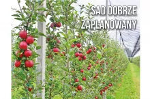 SAD covers