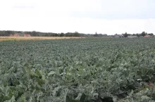 707510