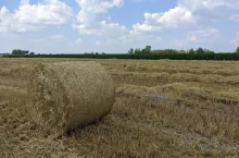 pole wieś balot słoma