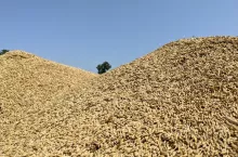 905083