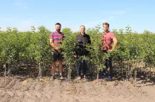 &lt;p&gt;Marek Bielak (pośrodku) z synami Jakubem (z lewej) i Maciejem w swojej szkółce skupiają się przede wszystkim na produkcji drzewek jabłoni&lt;/p&gt;