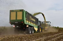 219865