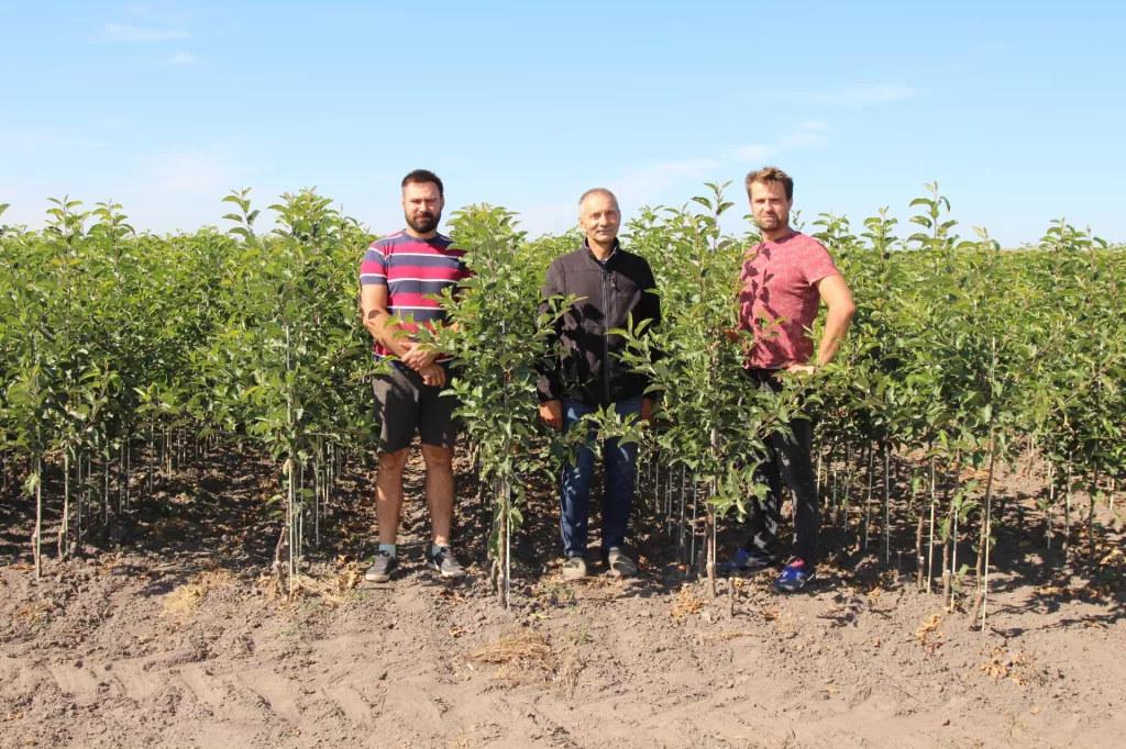&lt;p&gt;Marek Bielak (pośrodku) z synami Jakubem (z lewej) i Maciejem w swojej szkółce skupiają się przede wszystkim na produkcji drzewek jabłoni&lt;/p&gt;