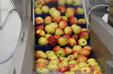 &lt;p&gt;T.B.Fruit należności dla producentów jabłek&lt;/p&gt;