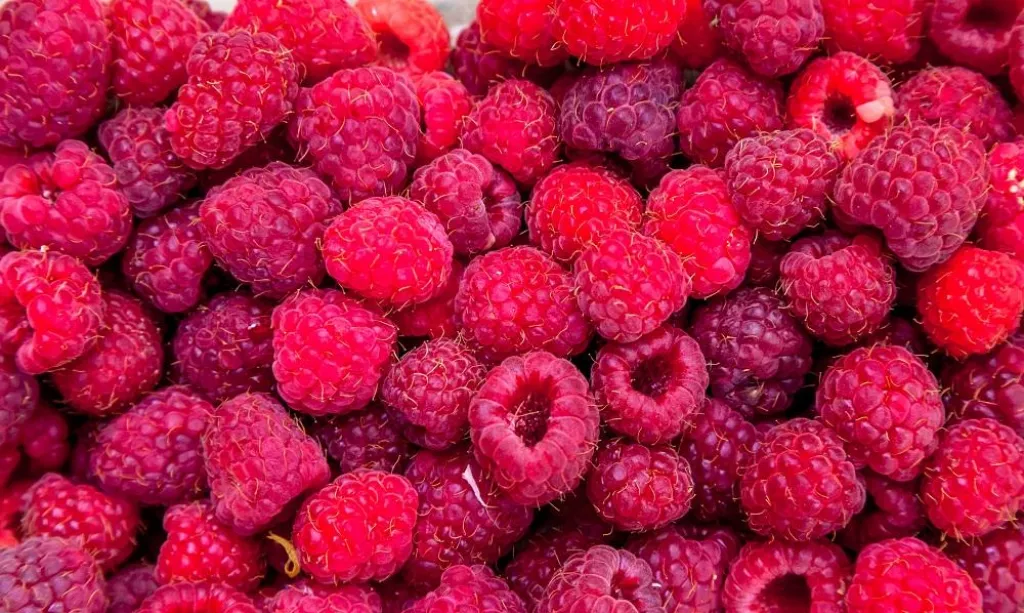 Composition of raspberries fruits in a box
