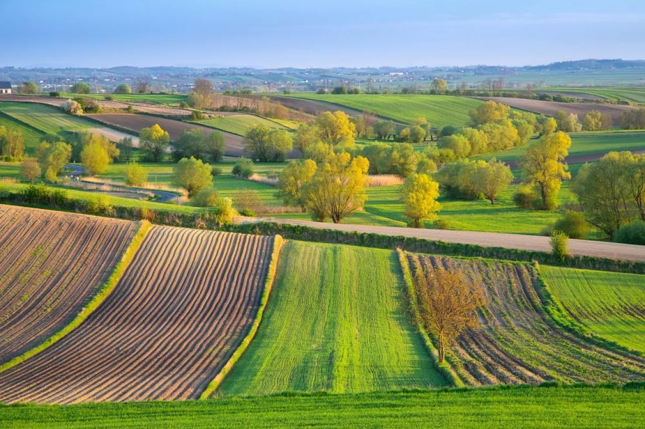 Poland, spring landscape. Plowed agricultural fields in Holy Cross Province near Cieszkowy village