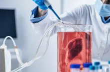 Lab-grown meat or in vitro meat. Food technology of the future