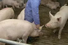 219555