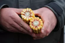 905155