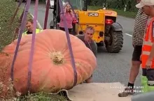 911823