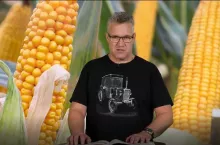 498313