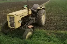 219294