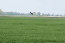438530