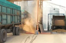 Trucks dumping grain in a warehouse after harvest. Grain in a trail, back view.