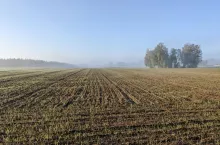 905240