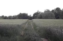 219057
