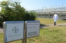 bayer