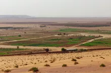 Agriculture in the desert of Saudi Arabia to expand the area of agricultural land
