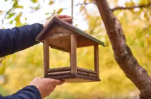 &lt;p&gt;wooden bird feeder that stays overwintering in city in winter. man hangs bird feeder on tree with yellow leaves in fall park&lt;/p&gt;