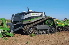 438119