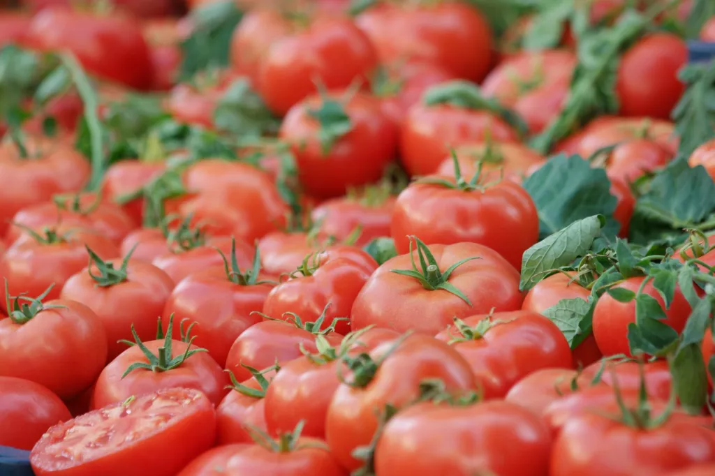 &lt;p&gt;Kto jest największym eksporterem pomidorów do Unii Europejskiej Skąd importuje Polska, pomidor, import pomidorów, eksport pomidorów&lt;/p&gt;