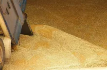 401045
